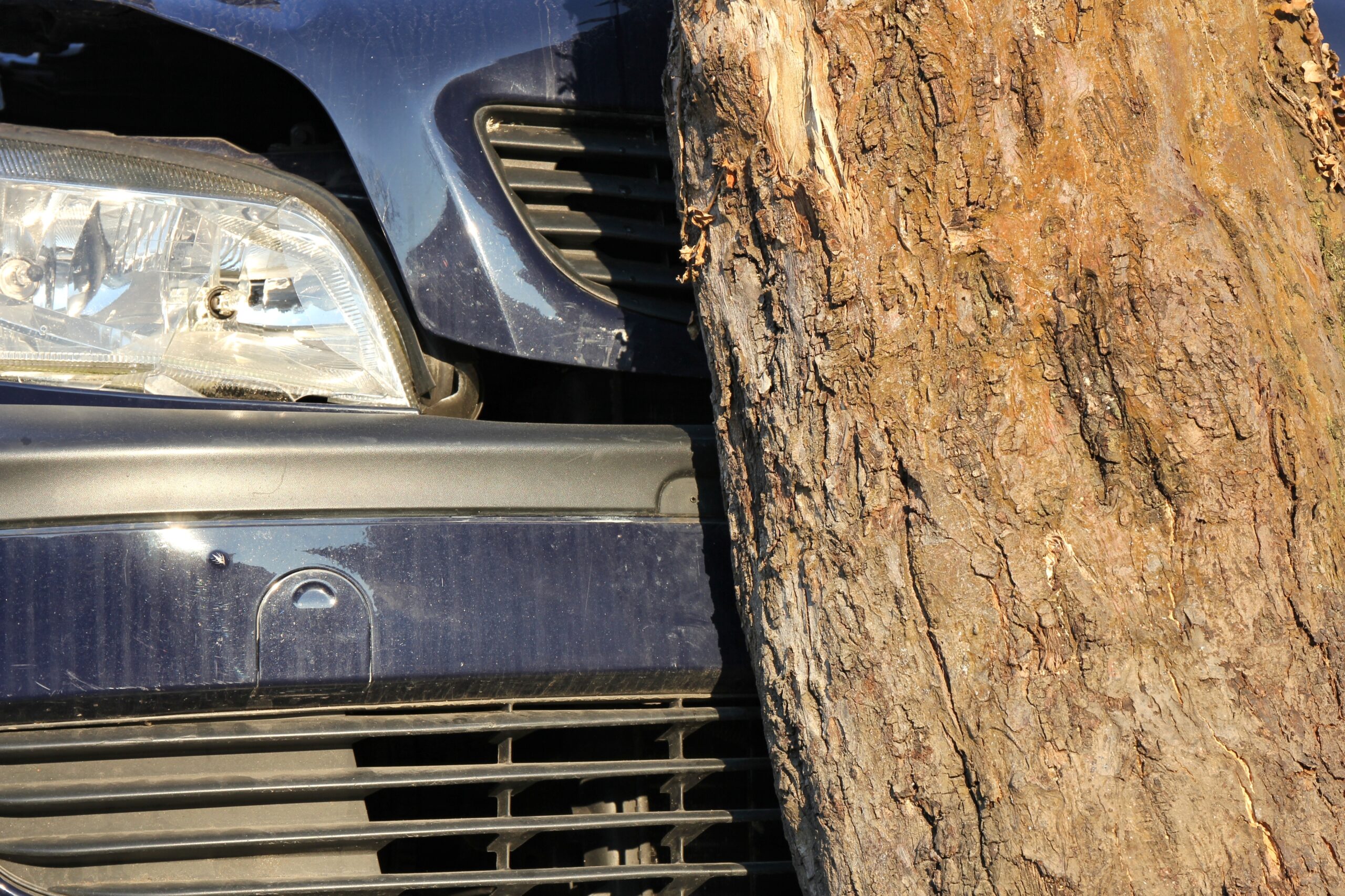 Parkland News car crashes into tree